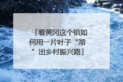 看黄冈这个镇如何用一片叶子“沏”出乡村振兴路