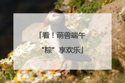 看！萌兽端午“粽”享欢乐