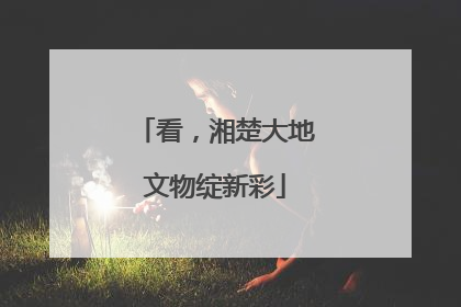 看，湘楚大地文物绽新彩