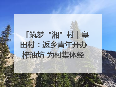 筑梦“湘”村｜皇田村：返乡青年开办榨油坊 为村集体经济“加油”