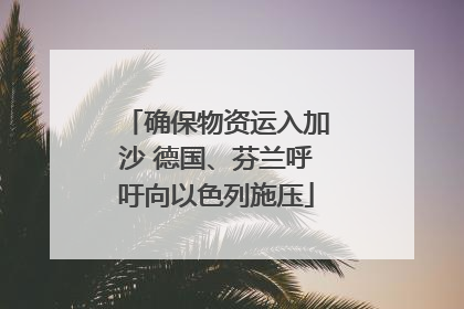 确保物资运入加沙 德国、芬兰呼吁向以色列施压