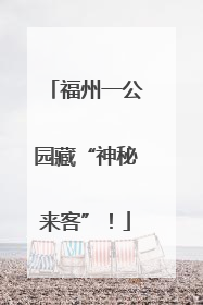 福州一公园藏“神秘来客”！