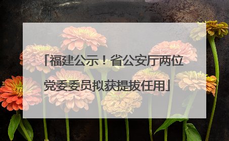 福建公示！省公安厅两位党委委员拟获提拔任用