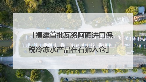 福建首批瓦努阿图进口保税冷冻水产品在石狮入仓