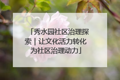 秀水园社区治理探索｜让文化活力转化为社区治理动力
