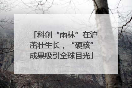 科创“雨林”在沪茁壮生长，“硬核”成果吸引全球目光