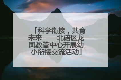 科学衔接，共育未来——北碚区龙凤教管中心开展幼小衔接交流活动