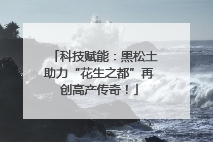 科技赋能：黑松土助力“花生之都”再创高产传奇！