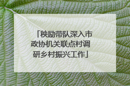 秧励带队深入市政协机关联点村调研乡村振兴工作