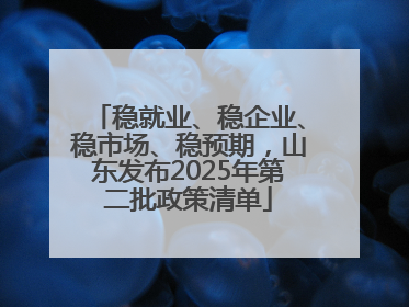 稳就业、稳企业、稳市场、稳预期，山东发布2025年第二批政策清单