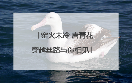 窑火未冷 唐青花穿越丝路与你相见