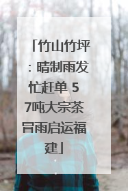 竹山竹坪：晴制雨发忙赶单 57吨大宗茶冒雨启运福建