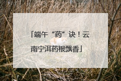 端午“药”诀！云南宁洱药根飘香