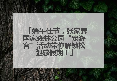 端午佳节，张家界国家森林公园“宠游客”活动带你解锁松弛感假期！