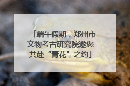 端午假期，郑州市文物考古研究院邀您共赴“青花”之约