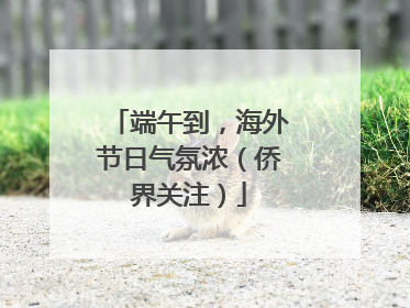 端午到，海外节日气氛浓（侨界关注）