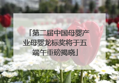 第二届中国母婴产业母婴龙标奖将于五端午重磅揭晓
