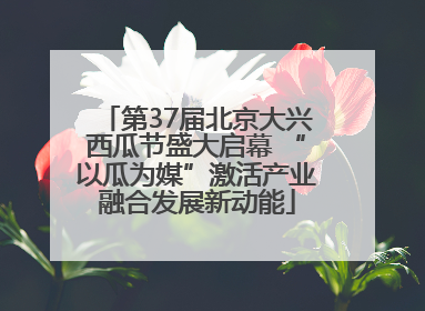 第37届北京大兴西瓜节盛大启幕 “以瓜为媒”激活产业融合发展新动能