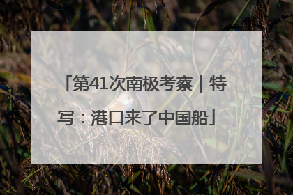 第41次南极考察｜特写：港口来了中国船