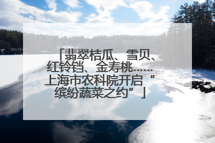 翡翠桔瓜、雪贝、红铃铛、金寿桃……上海市农科院开启“缤纷蔬菜之约”