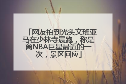 网友拍到光头文班亚马在少林寺晨跑，称是离NBA巨星最近的一次，景区回应
