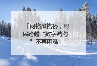 网格员搭桥，村民跨越“数字鸿沟”不再困难