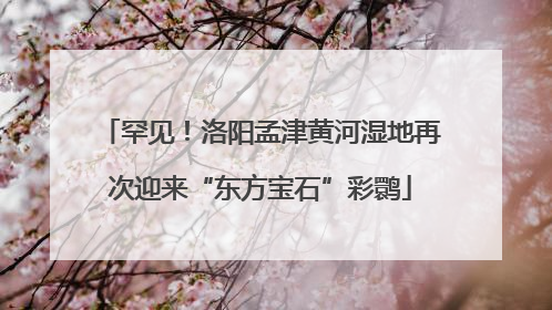 罕见！洛阳孟津黄河湿地再次迎来“东方宝石”彩鹮
