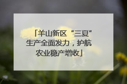 羊山新区“三夏”生产全面发力，护航农业稳产增收
