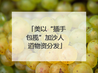 美以“插手包揽”加沙人道物资分发
