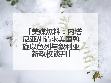 美媒爆料：内塔尼亚胡请求美国斡旋以色列与叙利亚新政权谈判