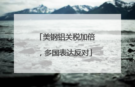 美钢铝关税加倍，多国表达反对