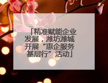 精准赋能企业发展，潍坊潍城开展“惠企服务基层行”活动
