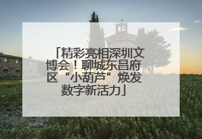 精彩亮相深圳文博会！聊城东昌府区“小葫芦”焕发数字新活力