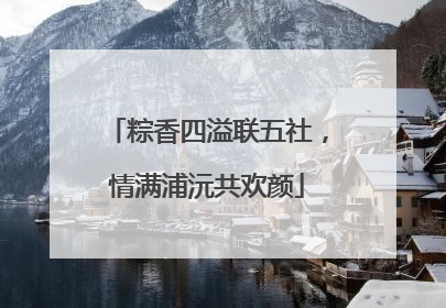粽香四溢联五社，情满浦沅共欢颜