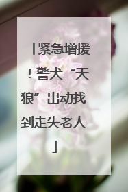 紧急增援！警犬“天狼”出动找到走失老人