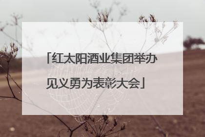 红太阳酒业集团举办见义勇为表彰大会