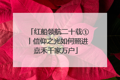 红船领航二十载①丨信仰之光如何照进嘉禾千家万户