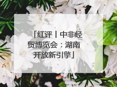 红评丨中非经贸博览会：湖南开放新引擎