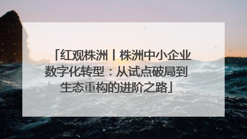 红观株洲丨株洲中小企业数字化转型：从试点破局到生态重构的进阶之路