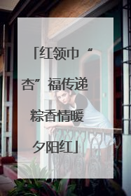 红领巾“杏”福传递 粽香情暖夕阳红