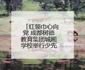 红领巾心向党 成都树德教育集团城厢学校举行少先队入队仪式
