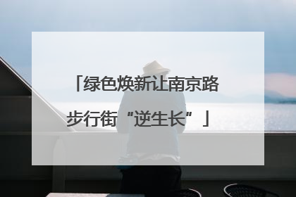 绿色焕新让南京路步行街“逆生长”