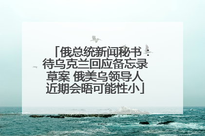 俄总统新闻秘书：待乌克兰回应备忘录草案 俄美乌领导人近期会晤可能性小
