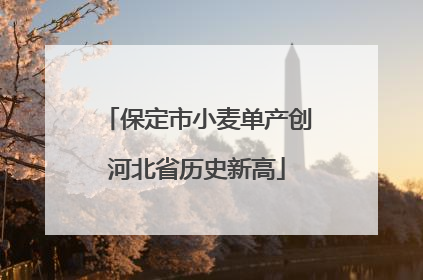 保定市小麦单产创河北省历史新高