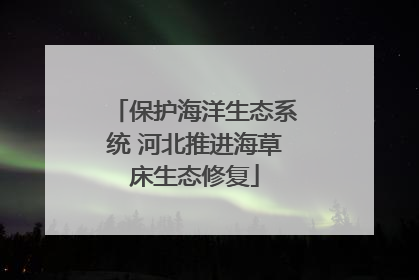 保护海洋生态系统 河北推进海草床生态修复