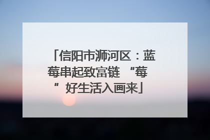 信阳市浉河区：蓝莓串起致富链 “莓”好生活入画来