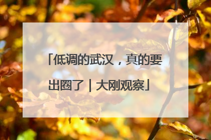 低调的武汉，真的要出圈了｜大刚观察