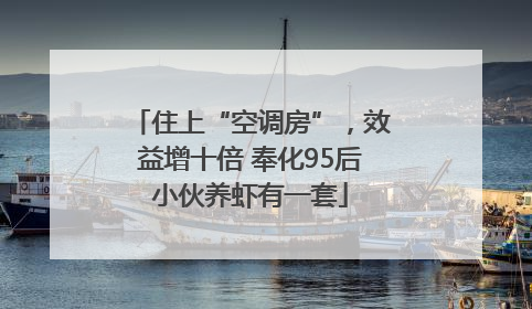 住上“空调房”，效益增十倍 奉化95后小伙养虾有一套