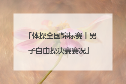 体操全国锦标赛丨男子自由操决赛赛况