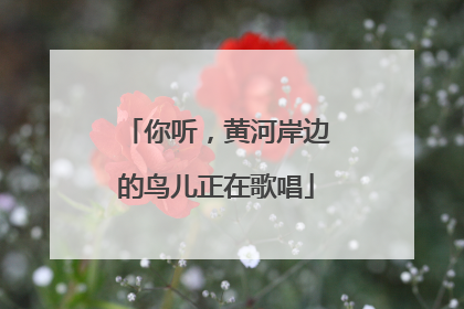 你听，黄河岸边的鸟儿正在歌唱